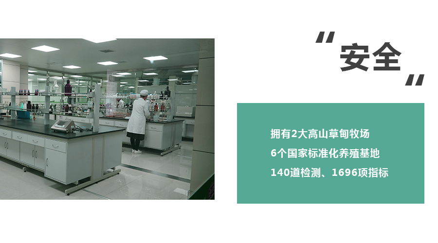 304am永利集团·(中国)有限公司官网