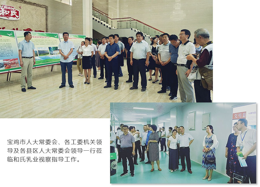 304am永利集团·(中国)有限公司官网