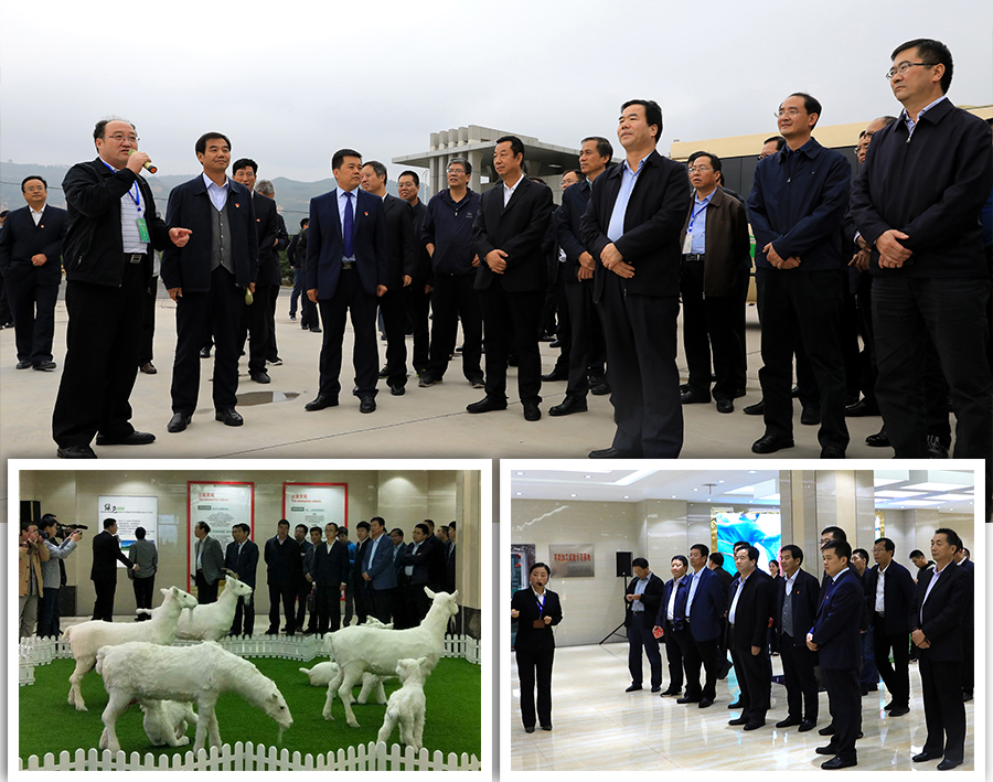 304am永利集团·(中国)有限公司官网