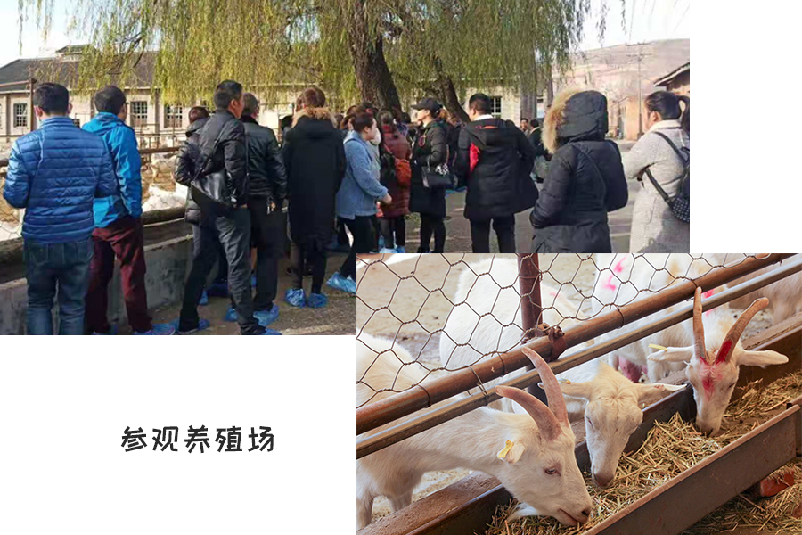 304am永利集团·(中国)有限公司官网