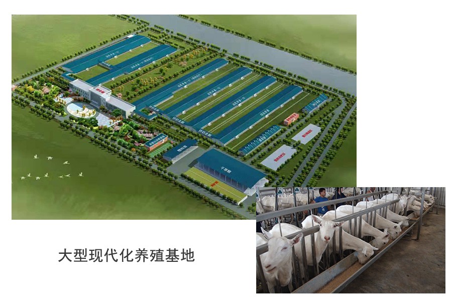 304am永利集团·(中国)有限公司官网