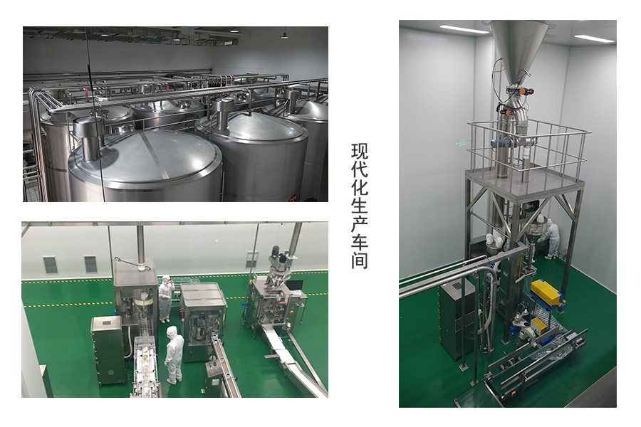 304am永利集团·(中国)有限公司官网