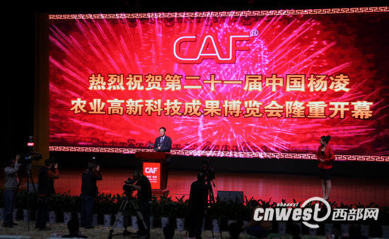 304am永利集团·(中国)有限公司官网